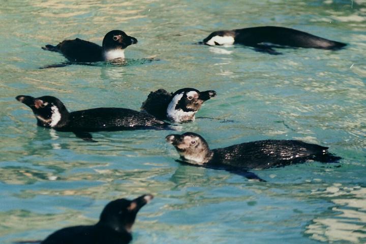 Mmh - wohin schwimmen wir jetzt?