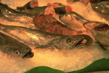 Fische in La Boqueria