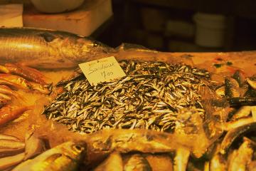 Sardinen (in La Boqueria)